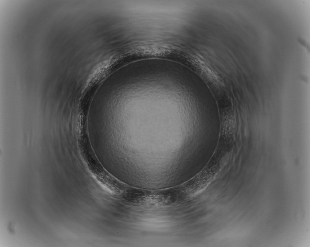 X0000096660736200803041200