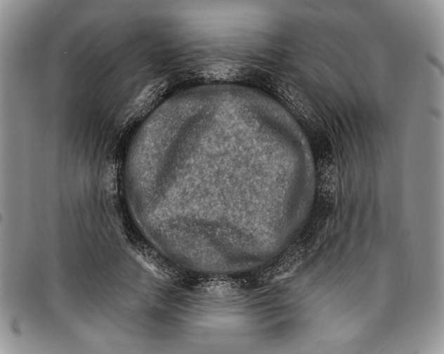 X0000096660738200803041200