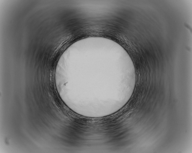 X0000096660739200803041200