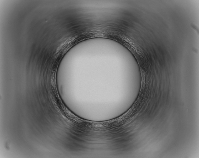 X0000096660740200803041200