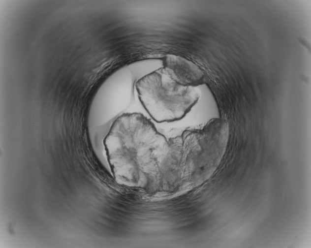 X0000096660741200803041200