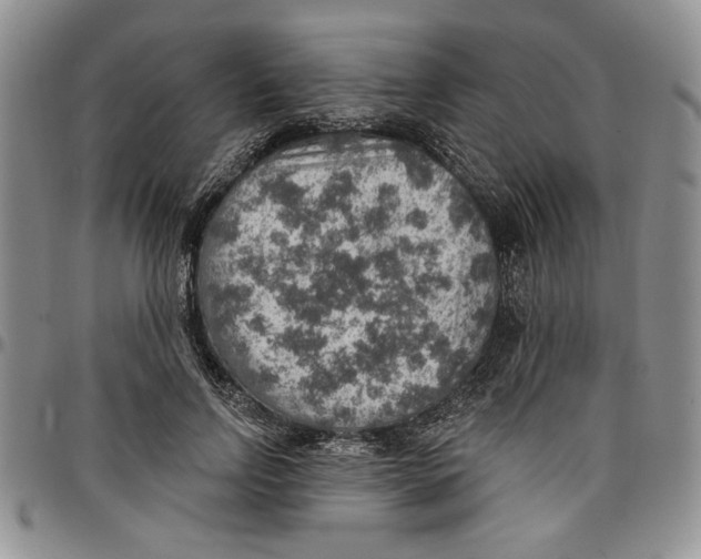 X0000096660742200803041200