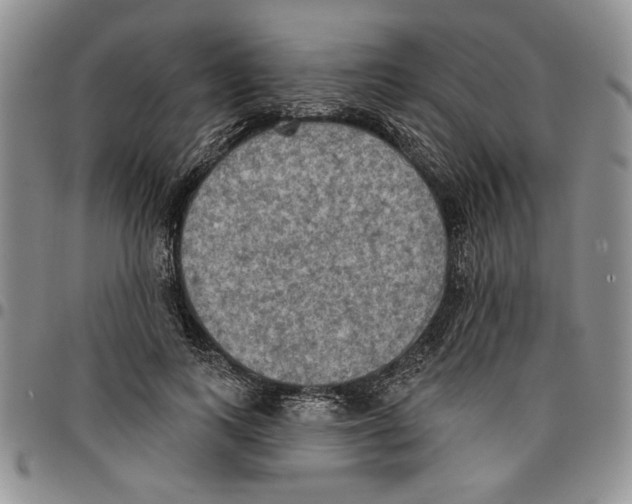 X0000096660743200803041200