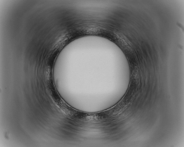 X0000096660744200803041200