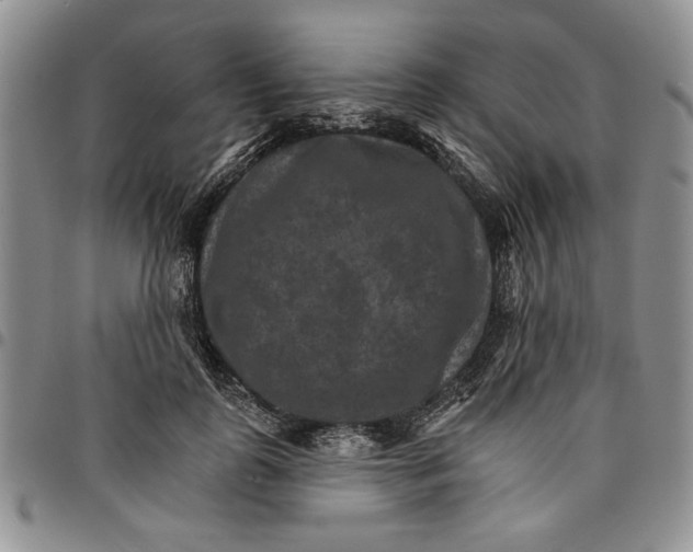 X0000096660747200803041200