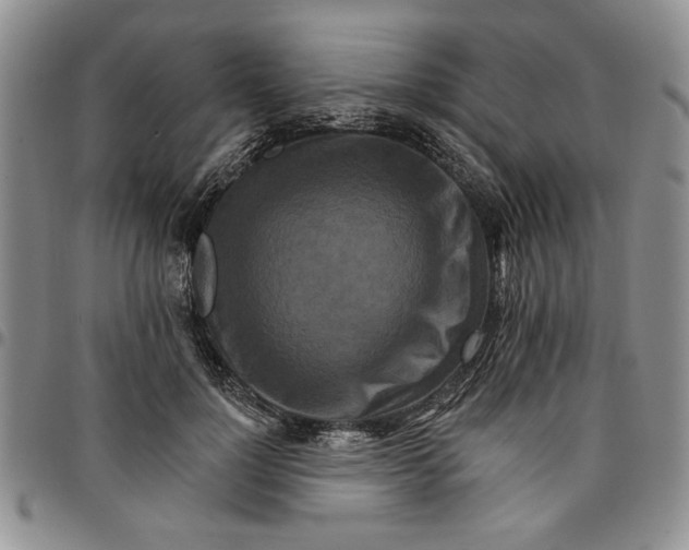 X0000096660748200803041200