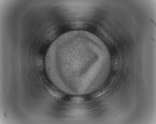 X0000096660749200803041200