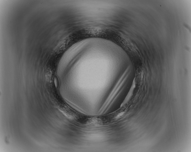 X0000096660750200803041200