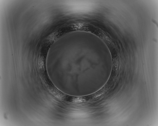 X0000096660754200803041200