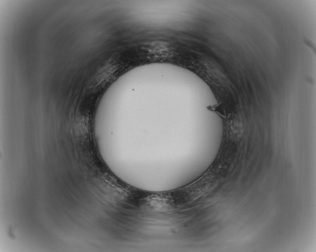 X0000096660756200803041200