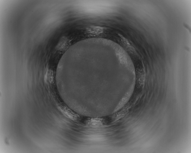 X0000096660758200803041200