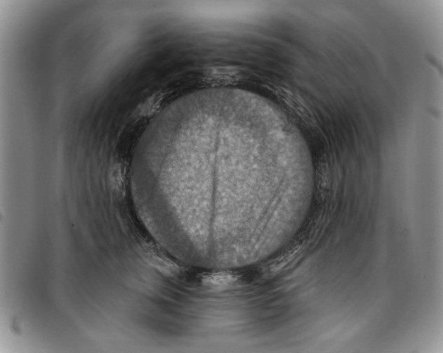 X0000096660759200803041200