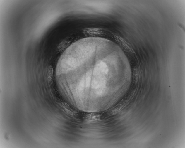 X0000096660760200803041200