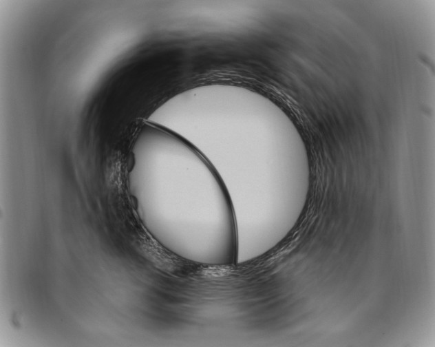 X0000096660762200803041200