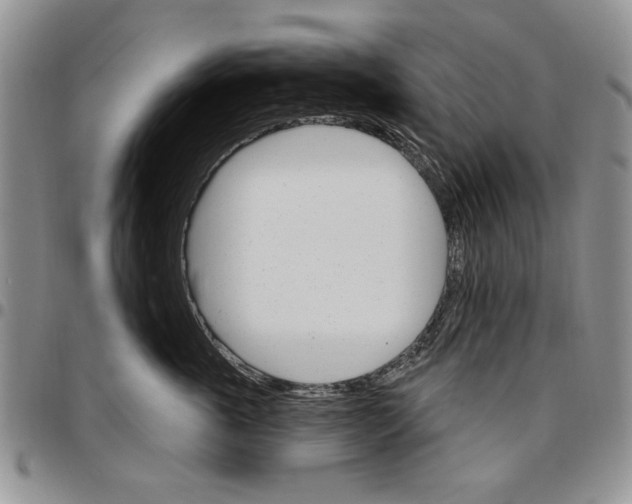 X0000096660763200803041200