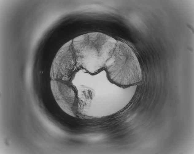 X0000096660765200803041201