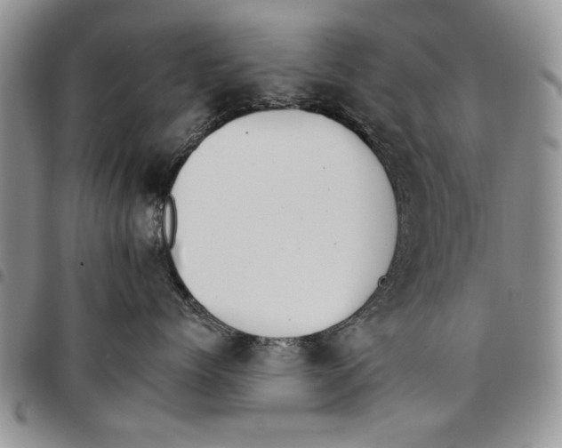 X0000096660768200803041201