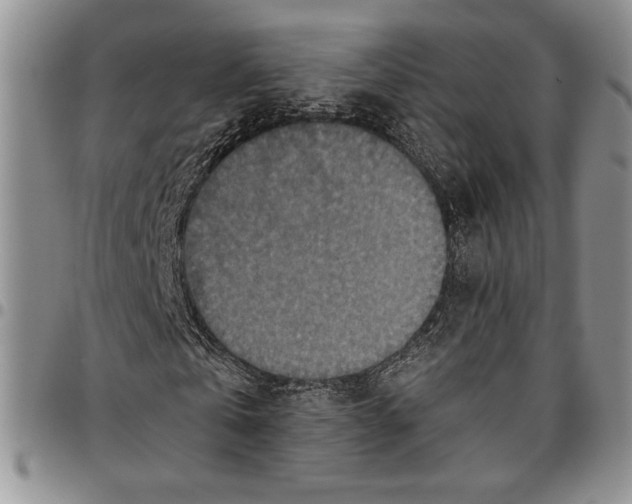 X0000096660769200803041200