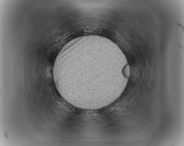 X0000096660770200803041200