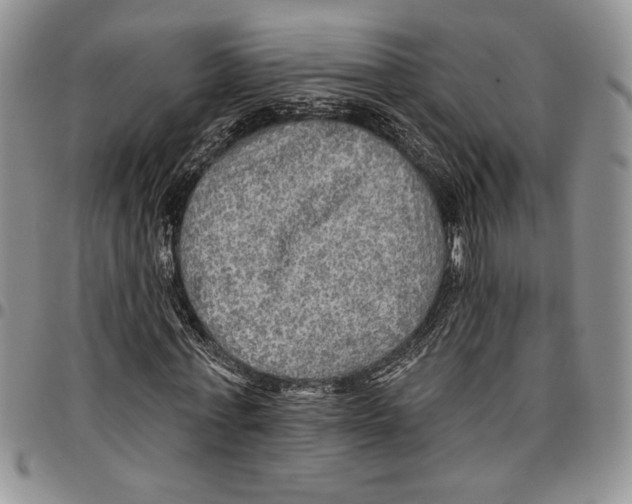 X0000096660771200803041200