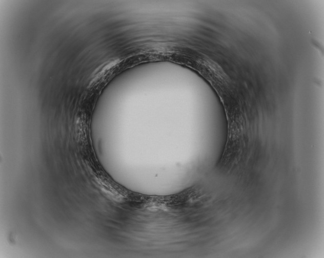 X0000096660773200803041200