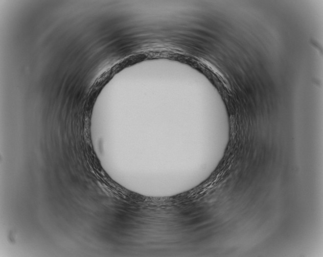 X0000096660775200803041200