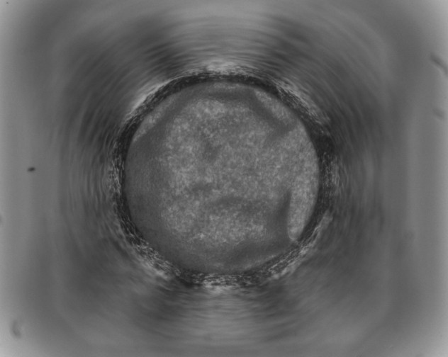 X0000096660776200803041200