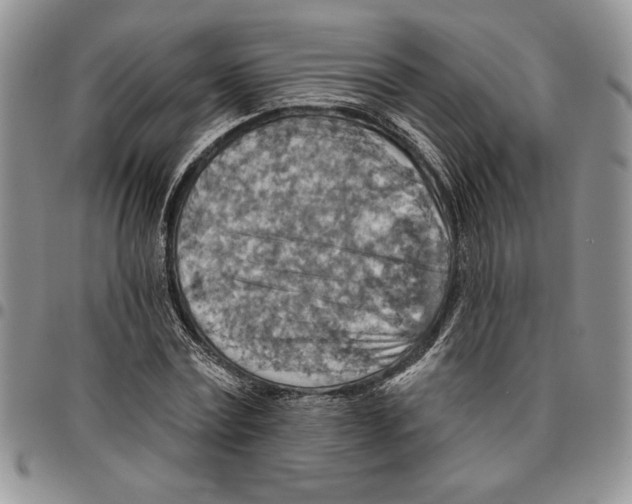 X0000096660779200803041200