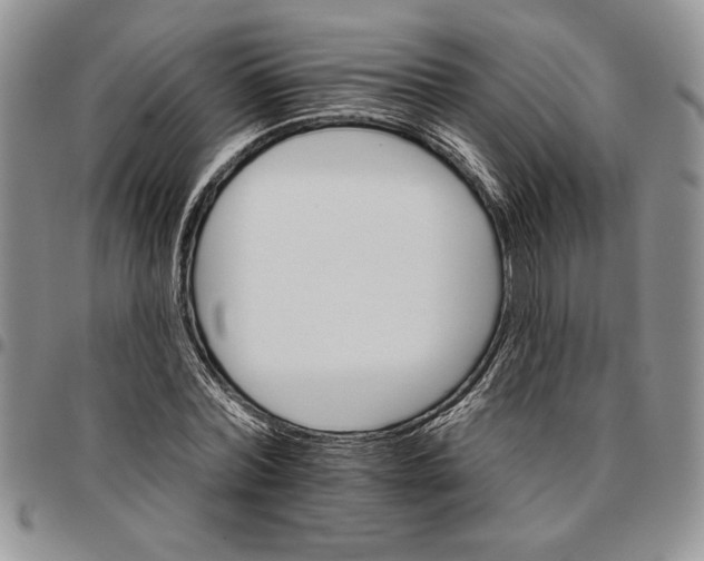 X0000096660780200803041200