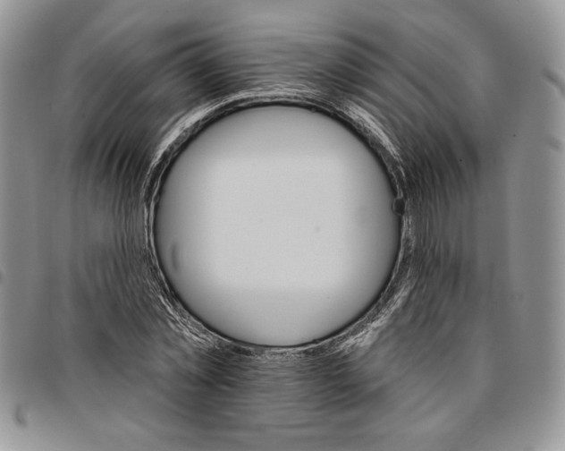 X0000096660781200803041200