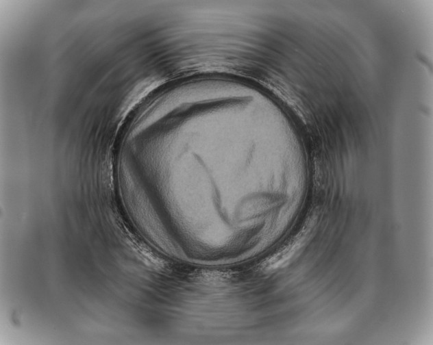 X0000096660782200803041200