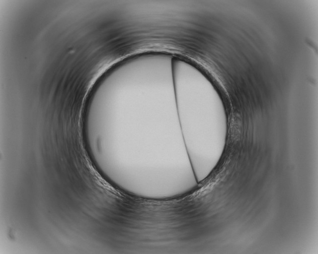 X0000096660783200803041200