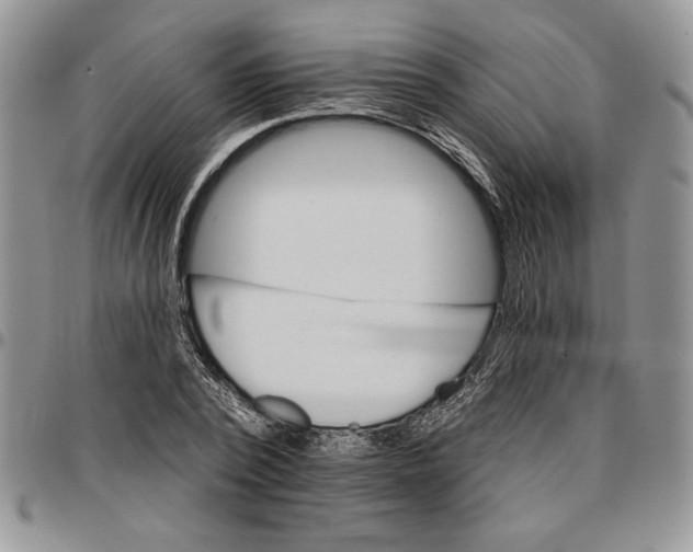 X0000096660784200803041200