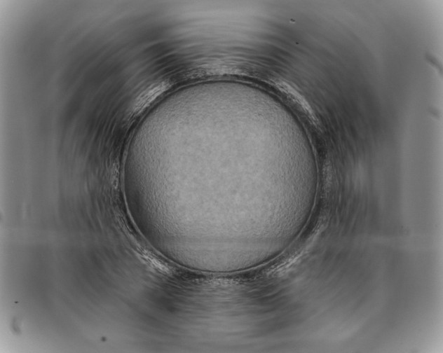 X0000096660785200803041200