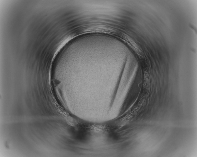 X0000096660788200803041200