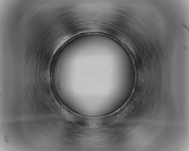 X0000096660789200803041200