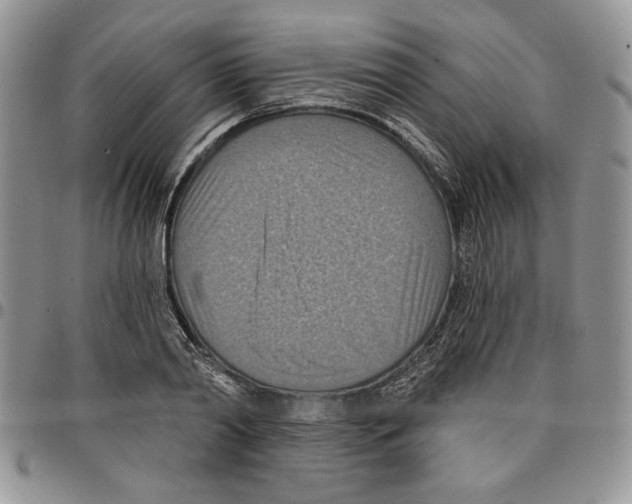 X0000096660790200803041159