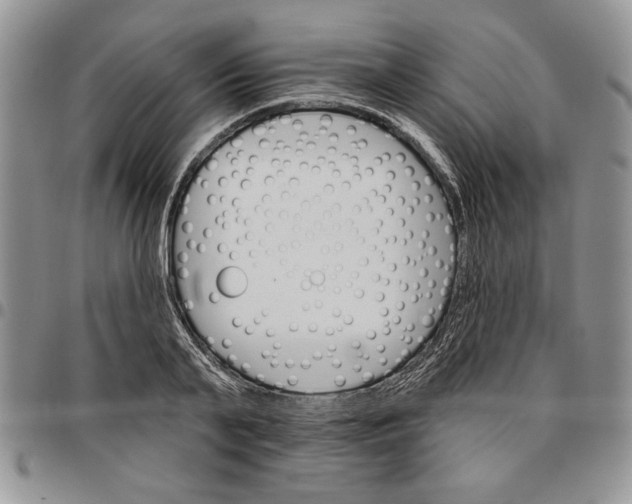 X0000096660791200803041159