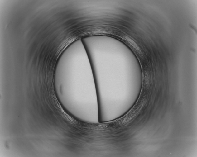 X0000096660793200803041159