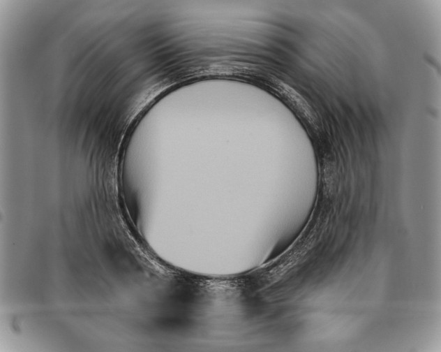 X0000096660794200803041159