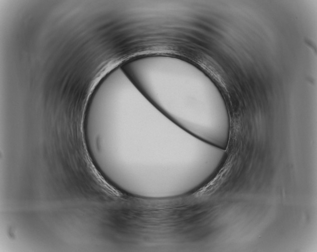 X0000096660797200803041159