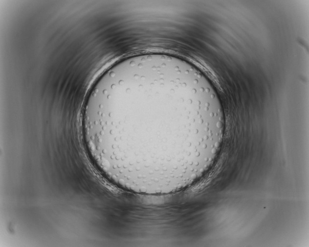 X0000096660798200803041159