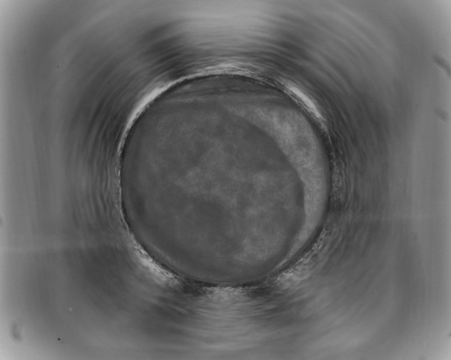 X0000096660800200803041159