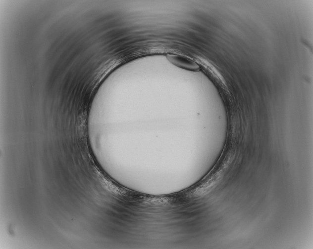 X0000096660801200803041159