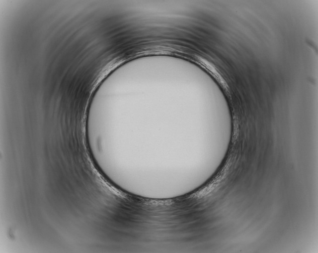 X0000096660802200803041159