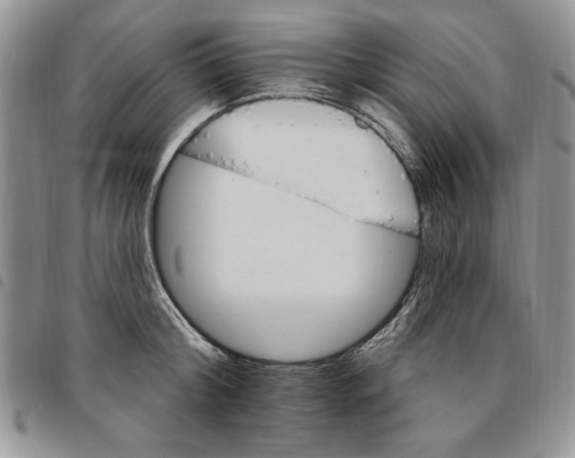 X0000096660804200803041159