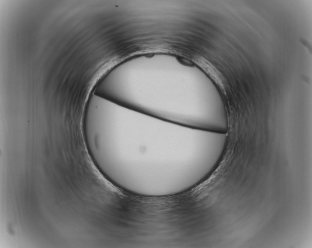 X0000096660805200803041159