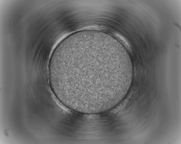 X0000096660808200803041159