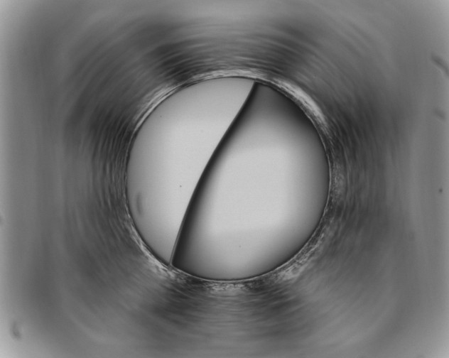 X0000096660809200803041159