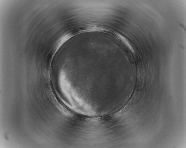 X0000096660810200803041159